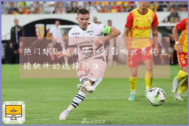 热门球队的表现如何影响世界杯竞猜软件的选择标准
